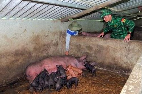 'Đất chết' đang dần hồi sinh