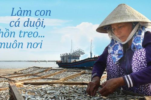 Làm con cá duội, hồn treo… muôn nơi