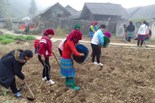 Làm theo lời Bác Hồ dạy, đồng bào dân tộc thiểu số tích cực thi đua lao động sản xuất