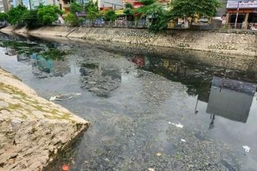 Hà Nội lập xong đề án xử lý ô nhiễm sông Tô Lịch, Kim Ngưu