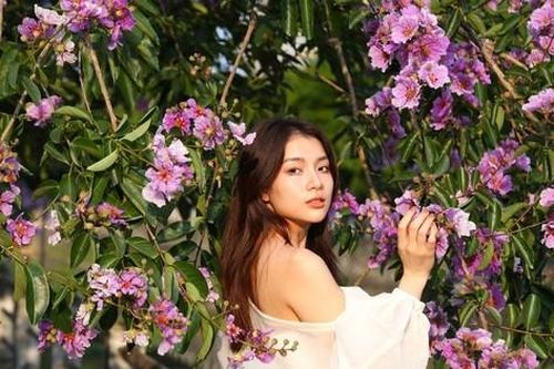 Thiếu nữ thành Vinh thả dáng bên con đường rực rỡ sắc tím