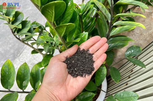 8 đơn vị sản xuất phân bón tại Thanh Hóa vi phạm chất lượng sản phẩm