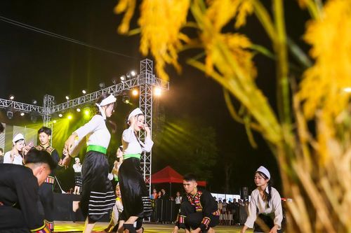 Những hình ảnh ấn tượng tại Lễ hội quảng diễn đường phố 'Quê hương mùa sen nở'