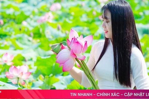 Sen hồng tháng Năm