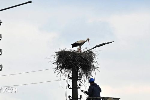 Ukraine phân bổ hơn 38 triệu USD để giải quyết tình trạng thiếu điện
