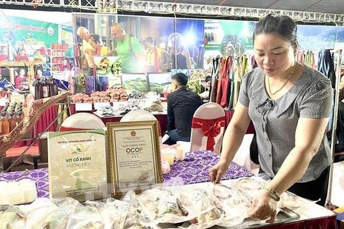 Đưa sản phẩm OCOP trở thành thương hiệu phát triển kinh tế bền vững