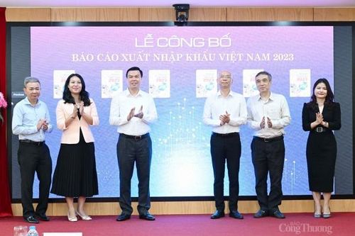 Báo cáo Xuất nhập khẩu Việt Nam: Đề xuất có bản bằng tiếng Anh
