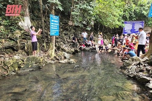Cẩm Thủy quan tâm đầu tư hạ tầng, tu bổ, tôn tạo di tích để phát triển du lịch