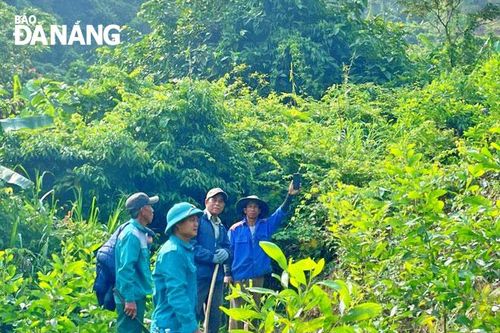 Dân vận dưới tán rừng
