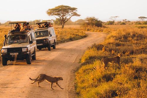 Kenya: Thiên đường hoang dã tại châu Phi