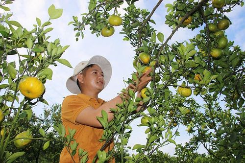 Quyết tâm hoàn thành nhiệm vụ xây dựng huyện nông thôn mới