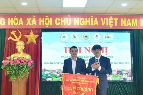Tây Nguyên thu tiền dịch vụ môi trường rừng hơn 1.000 tỷ đồng