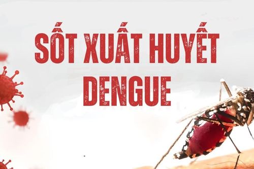 Vắc xin phòng sốt xuất huyết được đưa vào chương trình tiêm chủng dịch vụ