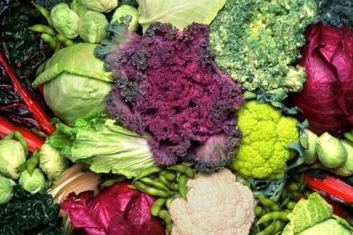 Khám phá những lợi ích tuyệt vời của rau họ cải với cơ thể