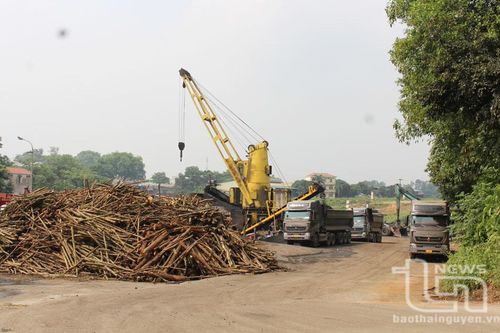 Siết chặt quản lý vận tải tại cảng Đa Phúc