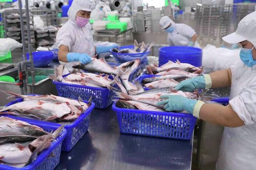 Giá bán lẫn sản lượng cùng giảm, Thủy sản Vĩnh Hoàn (VHC) báo lãi 'đi lùi' 16%