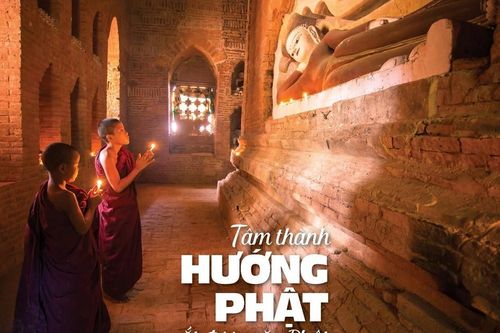 Tâm thành hướng Phật ắt được gặp Phật