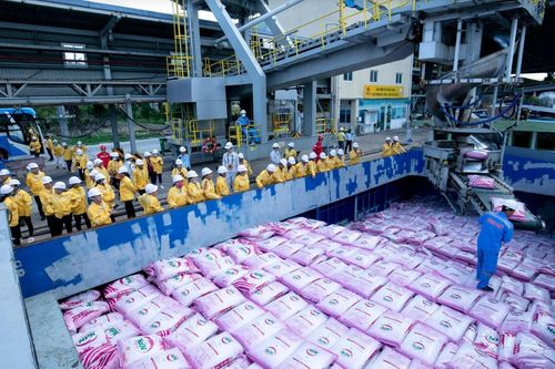 Đạm Cà Mau hoàn tất việc sở hữu Phân bón Hàn – Việt