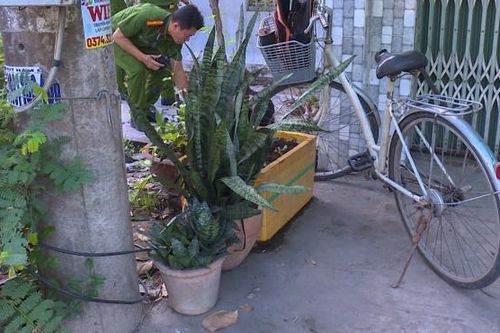Người đàn ông tử vong bên trụ điện nghi do sự cố khi cắt trộm dây