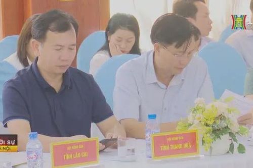 Trao đổi kinh nghiệm chuyển đổi số trong nông nghiệp