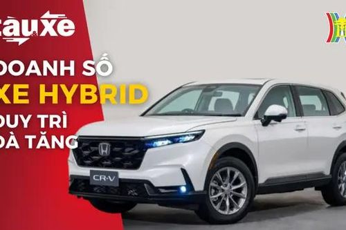 Doanh số xe hybrid tại Việt Nam duy trì đà tăng | Bản tin Tàu và Xe | 15/05/2024