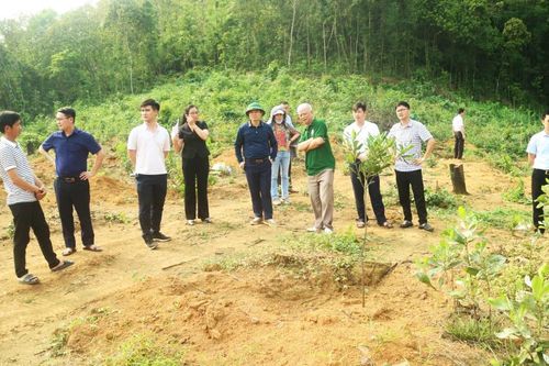 Khoa học và công nghệ góp phần thúc đẩy kinh tế - xã hội phát triển