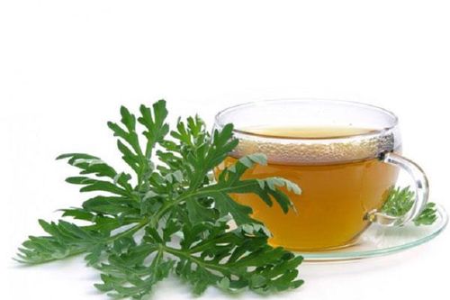Nước ngải cứu có tác dụng gì?