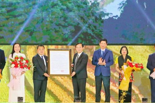 Sơn La: Đón nhận quyết định công nhận Khu du lịch quốc gia Mộc Châu