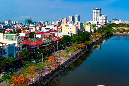 Hoa phượng bừng nở rực rỡ trên các tuyến phố Hải Phòng