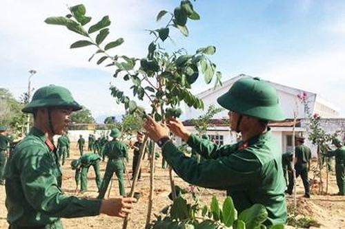 Bộ CHQS tỉnh Bình Thuận trồng cây hơn 50.000 cây xanh mừng sinh nhật Bác