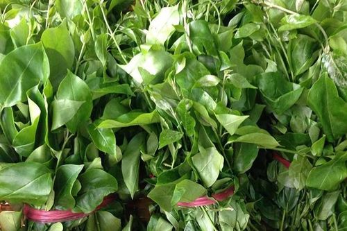 Lợi ích tuyệt vời của rau sắng đối với sức khỏe