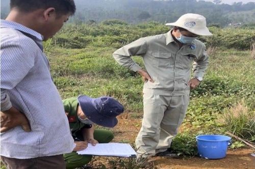 Xả thải ra môi trường, trang trại nuôi heo bị phạt gần 500 triệu
