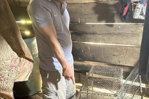 Gia Lai: Tạm giữ đối tượng tàng trữ, buôn bán động vật nguy cấp quý hiếm