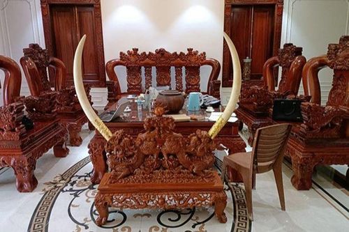 Vướng lao lý vì... sở thích 'bình thường'