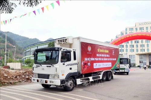 Nâng cao giá trị, định vị thương hiệu mận hậu Sơn La