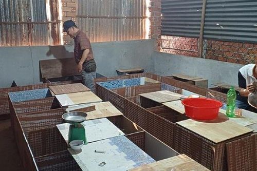 Anh nông dân kiếm hàng trăm triệu nhờ nuôi con 'dị ứng với nước'