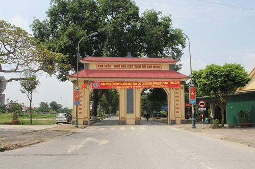 Chiêm ngưỡng hàng cây xà cừ cổ thụ trên quê hương Bác