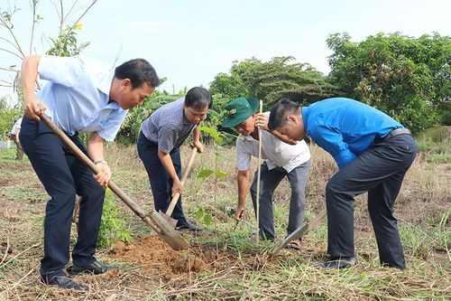 Phát động 'Tết trồng cây đời đời nhớ ơn Bác Hồ'