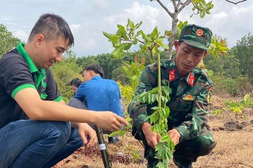 Ia Grai trồng 3.000 cây giáng hương kỷ niệm sinh nhật Bác