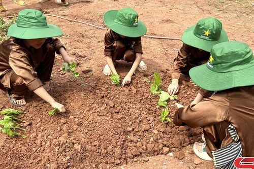 Chương trình 'Học làm người nông dân năm 2024'