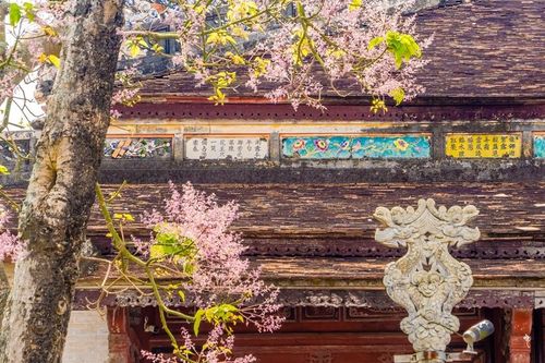 Kỷ niệm 8 năm Di sản 'Thơ văn trên Kiến trúc Cung đình Huế' được công nhận Di sản Tư liệu thế giới