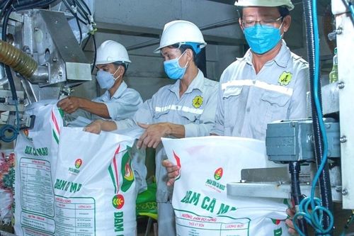 Phân bón có thể chịu thuế VAT 5%, kỳ vọng lãi ròng Đạm Cà Mau (DCM) tăng 47%