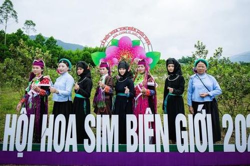 Quảng Ninh: Rộn ràng Lễ hội hoa sim biên giới Móng Cái 2024