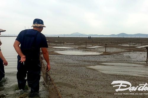 Quảng Ninh: Quy hoạch hơn 45.000 ha cho nuôi trồng thủy sản