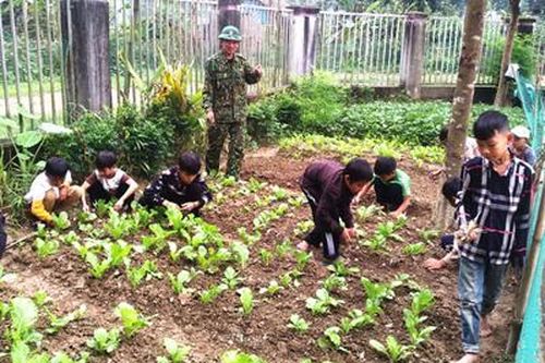 Giúp tộc người Đan Lai 'trồng người'-Bài 2: 'Chăm chồi, uốn cây' (Tiếp theo và hết)