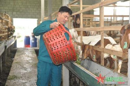 Cán bộ quân sự xã 'hai giỏi'