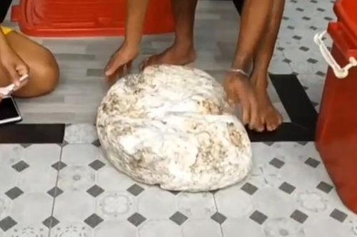 Nhặt được 'vàng nổi' khi dạo bờ biển, cặp đôi chớp mắt đổi đời