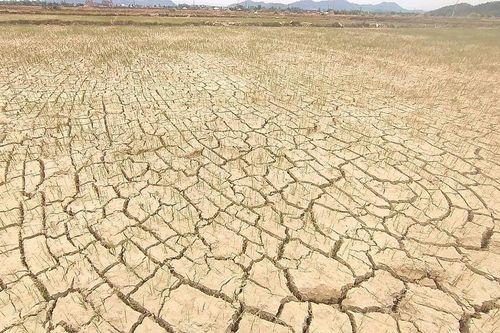 Cảnh báo hạn hán, sụt lún và nguy cơ đi kèm ở Trung Bộ và Tây Nguyên