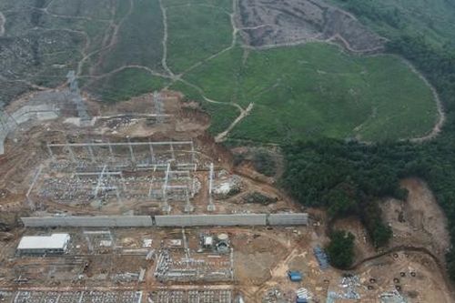 Cận cảnh 2,61 ha rừng tự nhiên bị san ủi trái phép ở Thanh Hóa