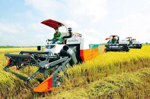 Phát huy vai trò khoa học công nghệ với tăng trưởng nông nghiệp